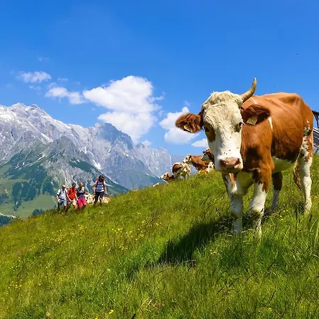Apartment Der Bachwirt Maria Alm am Steinernen Meer
