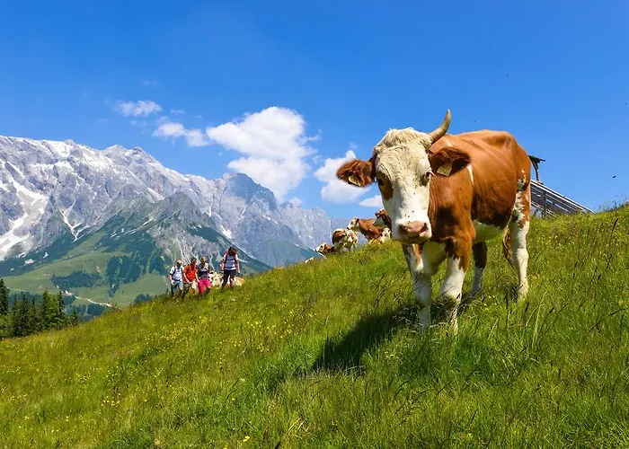 Appartement Der Bachwirt Maria Alm am Steinernen Meer